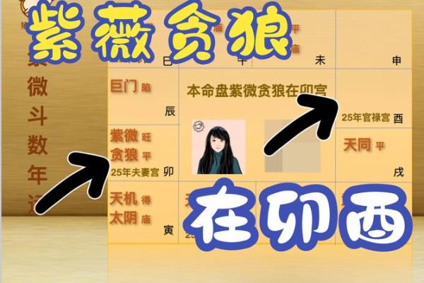 紫薇斗数小说