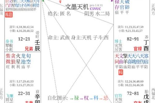 紫薇斗数小说