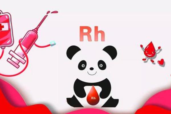 什么是血型的求爱讯号