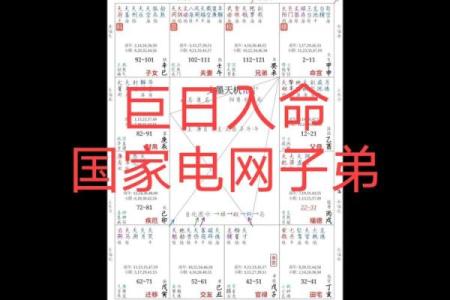家境好的紫薇斗数
