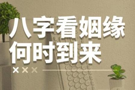 测自己的姻缘什么时候来到 测试姻缘什么时候出现？
