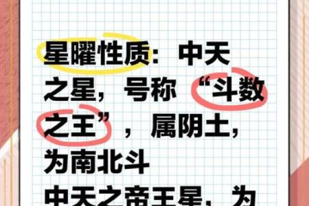 紫薇斗数紫薇星+财锦