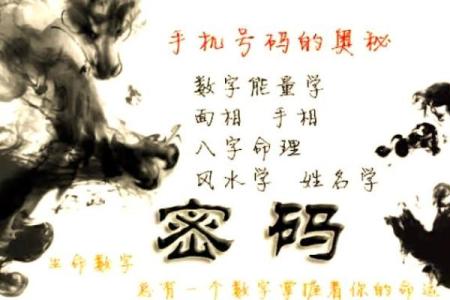 用电话号码算命