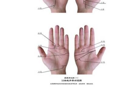 《手相学习百科》：掌纹介绍