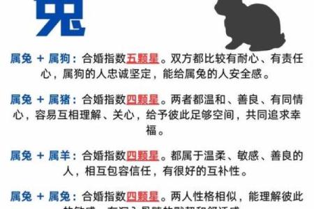 生肖兔配对猴姻缘表 生肖兔和生肖猴配不配？