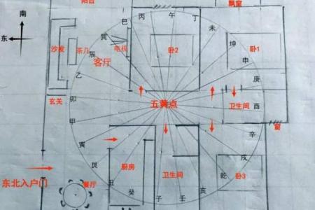 房子各个方位栽树好吗风水