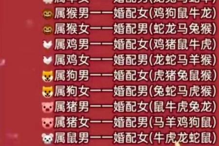 十二肖和十二生肖配对,十二生肖最佳婚配表是怎样的？