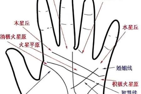 《手相学习百科》：手相重要辅线