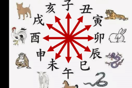 周易中属什么生肖？解析周易生肖配对