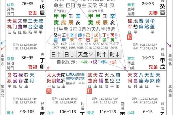 紫薇豆斗数软件