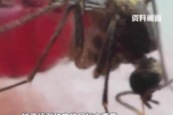 蚊子不喜欢什么血型 蚊子厌恶哪种血型