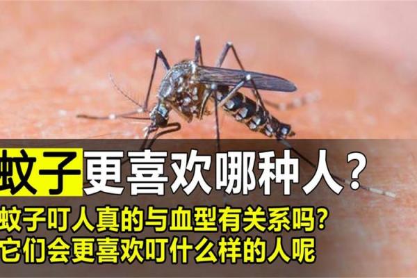 蚊子不喜欢什么血型 蚊子厌恶哪种血型