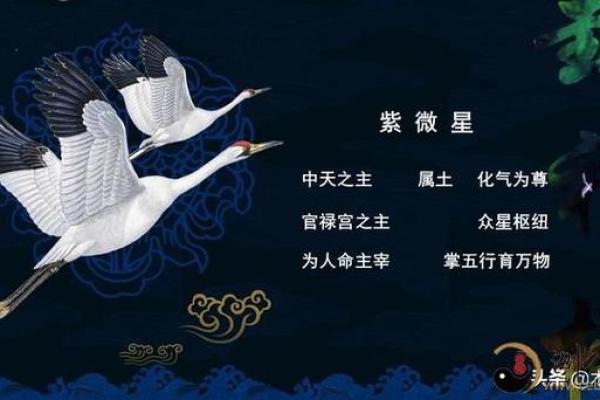 明极紫薇斗数