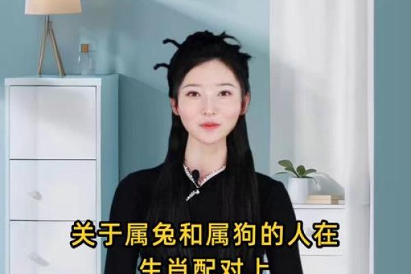 生肖属兔和属狗的合不合 相合配对指数