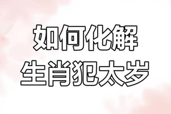 算命属狗岁女儿