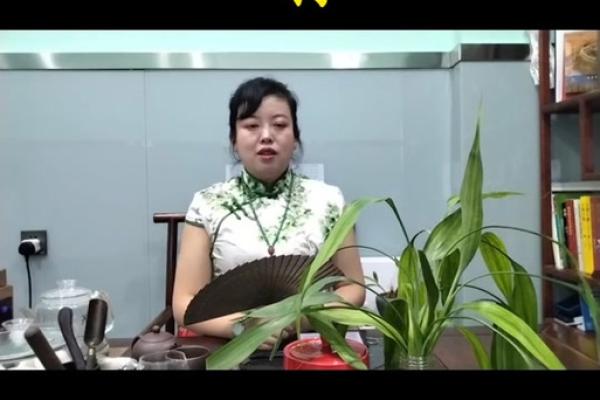 算命属狗岁女儿