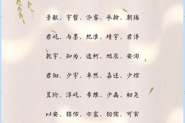 要怎么给晚上1点出生的属猴男孩起名字好姓名