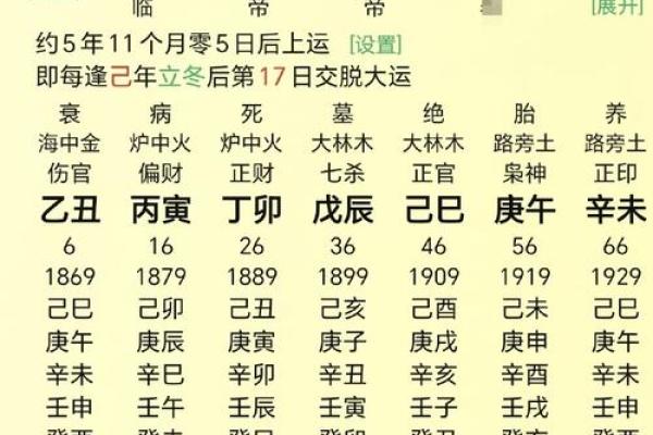 八字巳巳亥