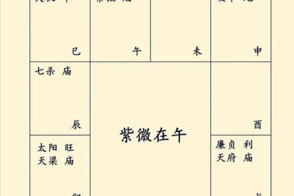 包含紫薇斗数精华论坛的词条