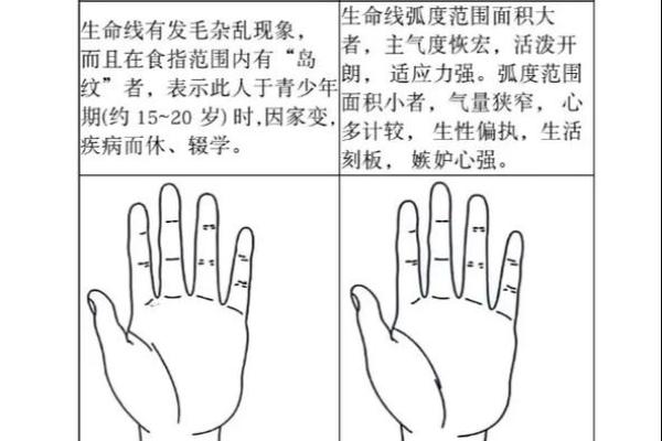 《手相学习百科》：生命线