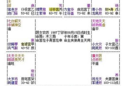 黄老师紫薇斗数