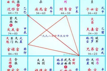 明极紫薇斗数