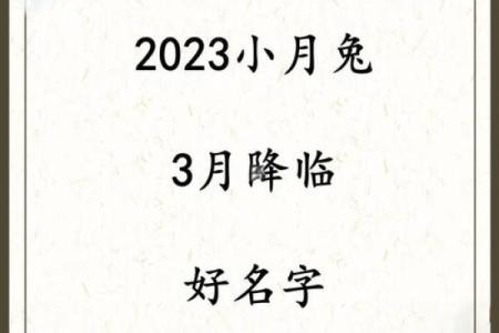 7月份出生的属兔男孩应该如何取名字姓名