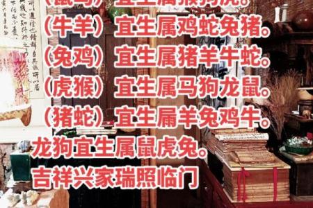 生肖属兔和属狗的合不合 相合配对指数