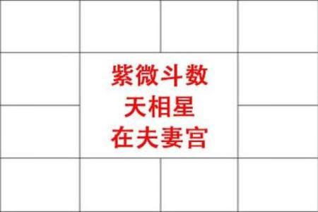 紫微斗数之夫妻宫与诸星,武曲星在夫妻宫是什么意思？