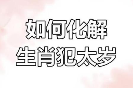 算命属狗岁女儿