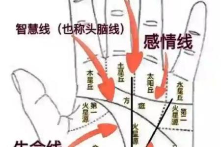 《手相学习百科》：手纹看退休