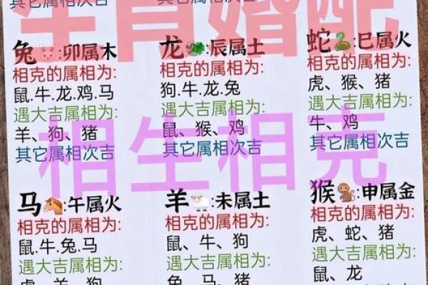 红豆与十二生肖配对看看你属于哪一种