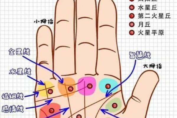 如何看手相算命看手相怎么看 如何看手相算命图片大全图解