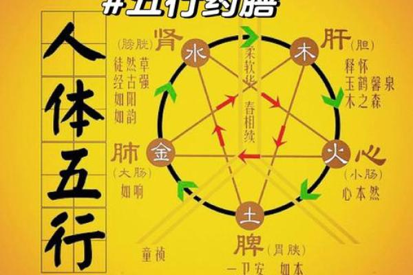 五形对应方位春夏秋冬四季剖析