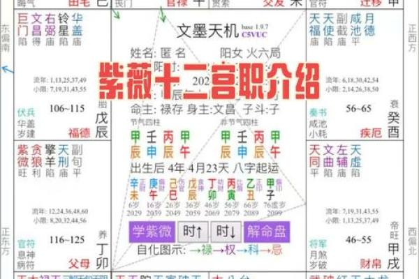看紫薇斗数顺序