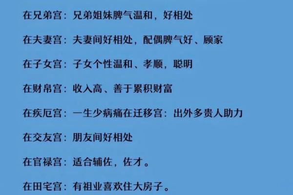 高级紫薇斗数书