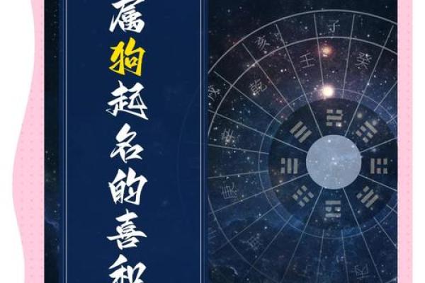 中午1点出生的属狗男孩如何取名，宜用什么字姓名