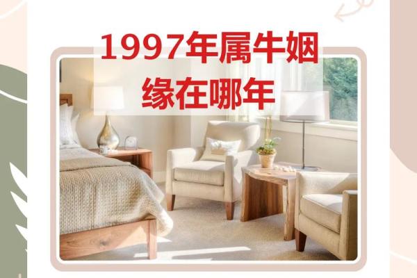 1997年属什么生肖配对