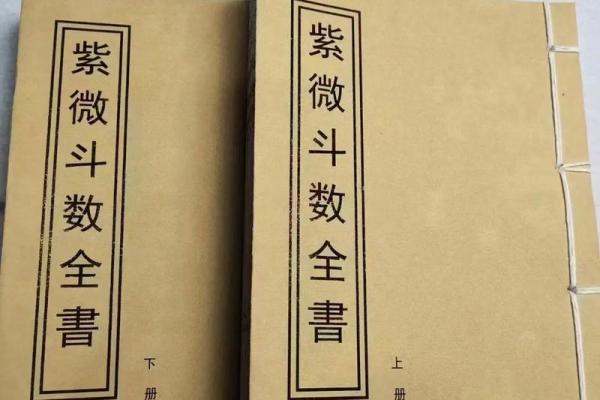 紫微斗数资料- 紫微斗数资料pdf百度网盘？