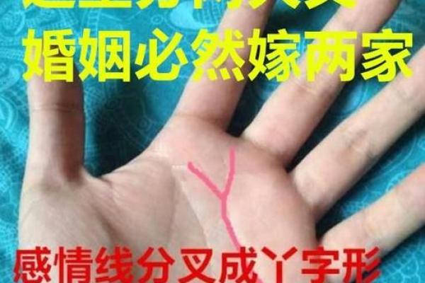 算命的说你有一个爸一个妈