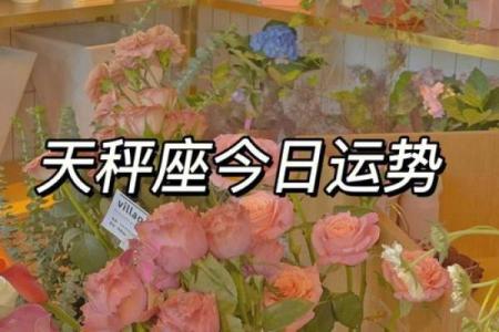 天秤座2024年下半年运势  天秤座今日运势紫微黄历
