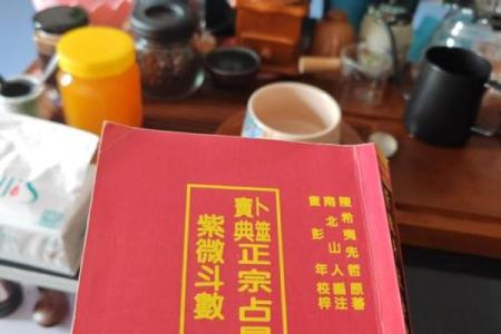 高级紫薇斗数书