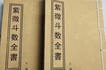 紫微斗数资料- 紫微斗数资料pdf百度网盘？