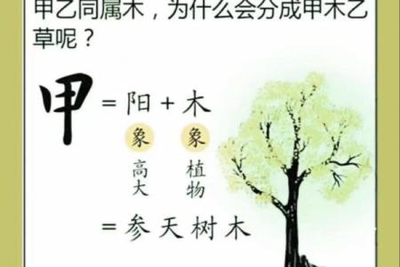 八字木重