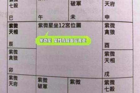 什么样的八字才算是紫薇星命