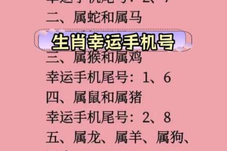紫薇测测算手机号码吉凶