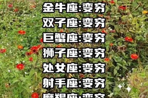 十二星座假如有1000万会怎么样