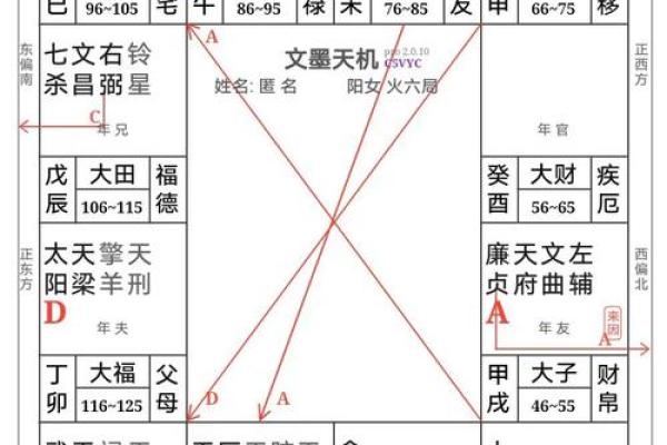 【紫微斗数】排盘技巧038：紫微斗数的未来发展