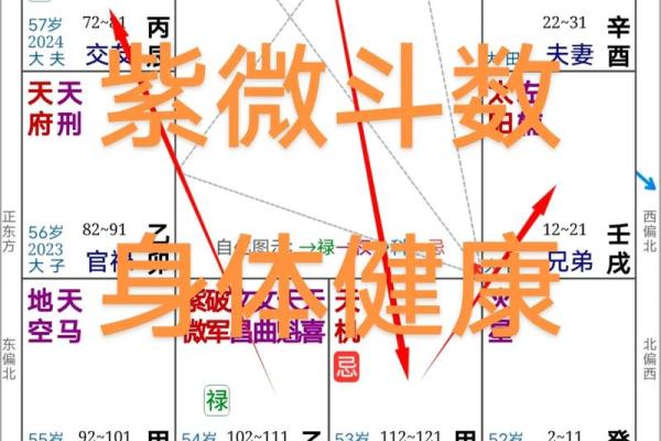 紫微斗数疾厄宫地空