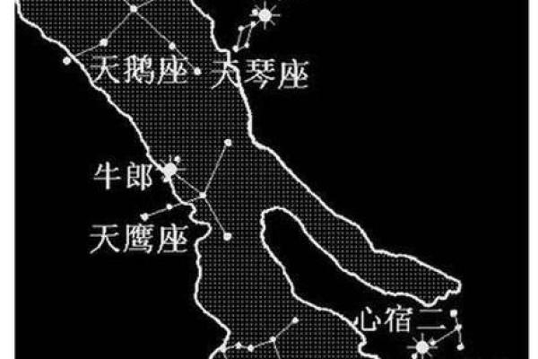 牛郎星位于什么星座  牛郎星位于什么星座上